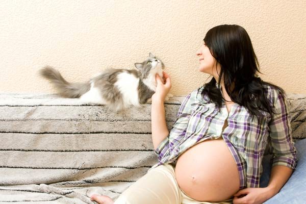 Come evitare la Toxoplasmosi in gravidanza
